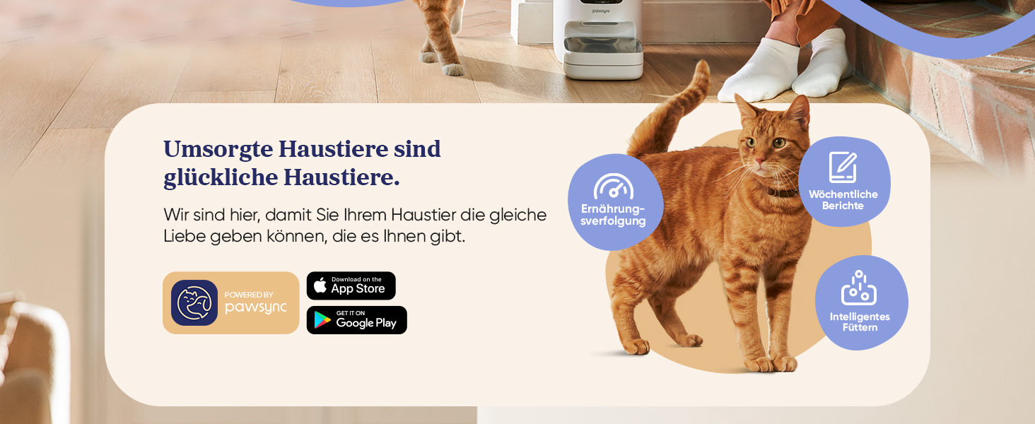 Pawsync Smart Pet Feeder - 3 Pack, Color-Changing Reminder, Dry Food Storage - Keeps Food Fresh Up to 3 Months, App Notifications, White & Grey