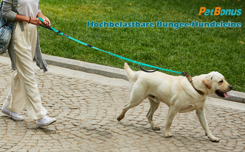 Тактична повідок для собак PetBonus Heavy Duty, 1,5м, еластична, з 2 зручними ручками, фіксатор для авто, No Pull для дресування великих та середніх собак (армійний зелений)