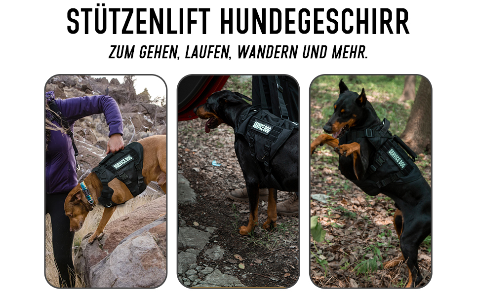 Тактичне облягання для собак, підтримуюче облягання для середніх та великих собак, Air Mesh регульоване облягання для службових собак з металевою застібкою 39g для навчання, прогулянок, чорний, розмір M (обхват шиї: 36-53 см, обхват грудей: 50-74 см)