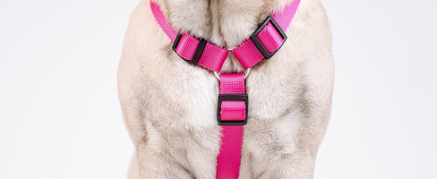 Шлейка для собак Chaba Guard середнього розміру, контрольована, протисмикова, регульована, комфортна та легка, класична Step-in, для прогулянок, розмір L, колір Морський