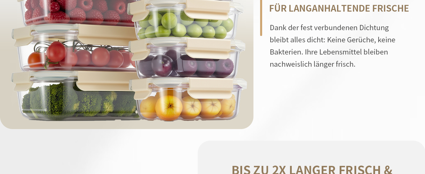 Набір контейнерів для зберігання продуктів FE1537-cremig (20 шт.): з кришкою, для холодильника, морозильника, мийки, витокостійкий, сучасний