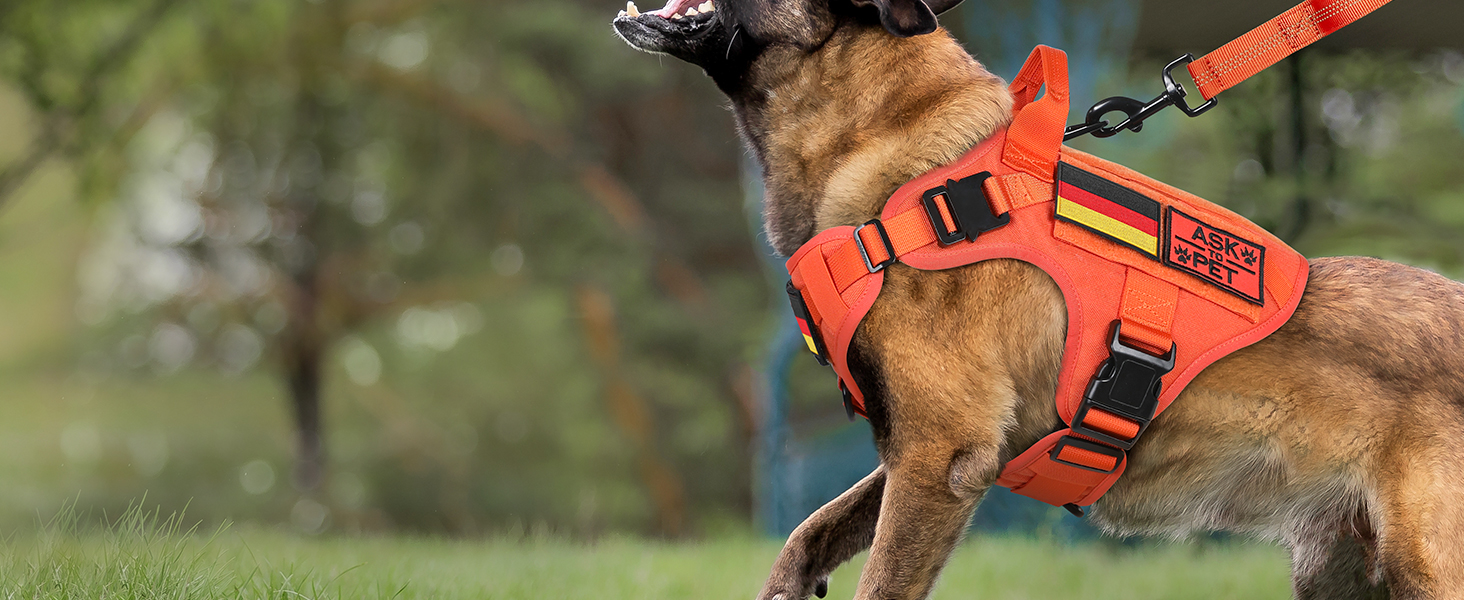 Нагрудник для собак Rabbitgoo великих порід, без натягу, тактичний з MOLLE, металеві пряжки, дихаючий, військовий, регульований, з підкладкою, L (1 шт), помаранчевий