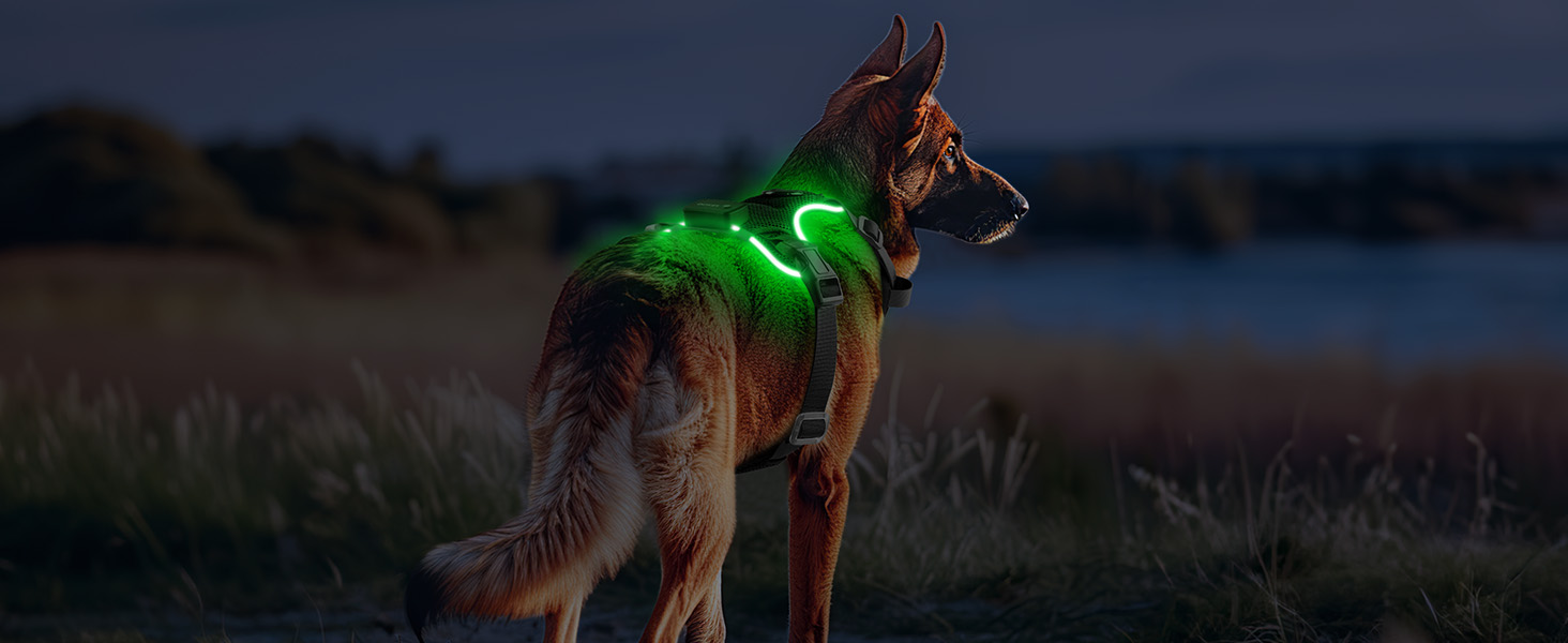 Світлодіодне шлейка для собак з підсвічуванням LED, перезаряджувана, для малих, середніх та великих собак, світловідбиваюча, регульована, XL (Чорний, Small)