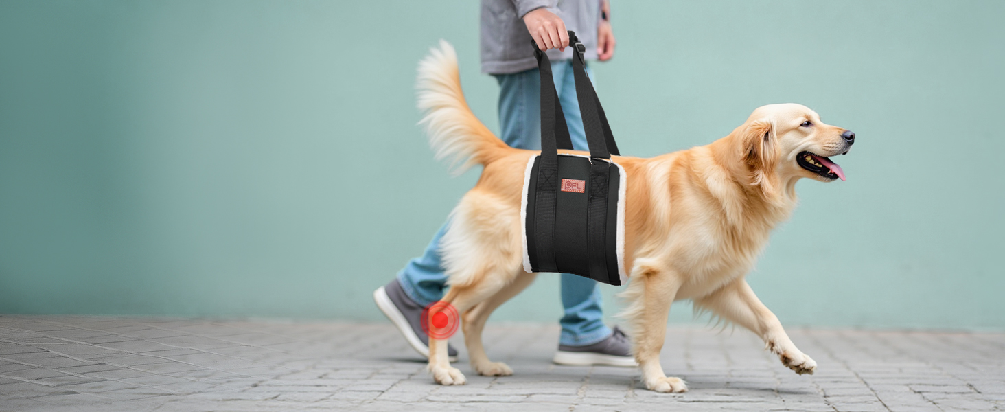 Регульована переносна допомога для собак, переносна лямка для реабілітації, поранених, травмованих або літніх собак - шлейка для собак як засіб допомоги при ходьбі для маленьких і великих собак, сірий колір, XL