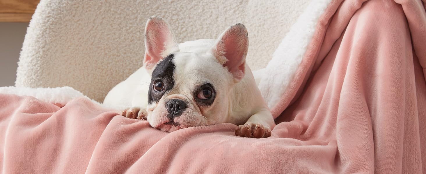 BEDSURE Плед з м'якого Sherpa, теплий вовняний плед - покривало на диван, пухнастий накид, товстий плед для дивану, подарунок для жінок, пухнастий домашній плед, сірий, 150x200 см, XL