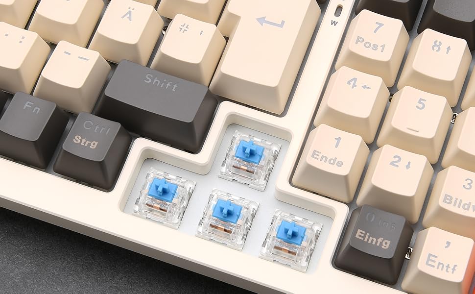 Механічна клавіатура Rii бездротова, геймерська Bluetooth, Tri-Mode 75%, QWERTZ, 20 режимів RGB-підсвічування (BT5.0 + 2.4GHz + кабель), Blue Switch