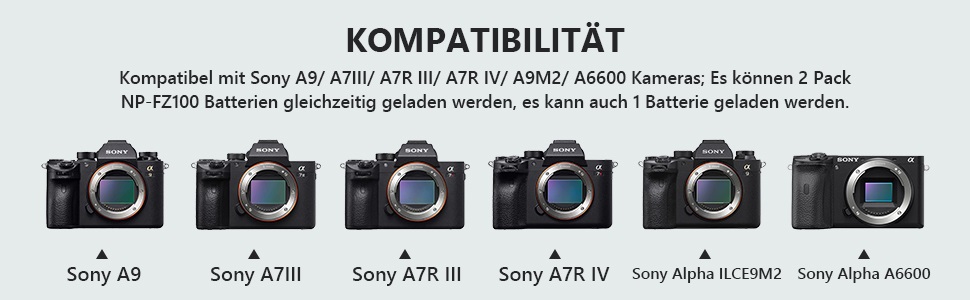 NEEWER 2 шт. Запасний акумулятор NP-FZ100 та подвійний зарядний пристрій, сумісний з Sony A9 III, A9 II, A9, A7RV, A7R IV, A7R III, A7 IV, A7 III, A6700, A6600, A7C, A1, ZV-E1, ZV-E10 II, FX3, FX30, 2280 mAh