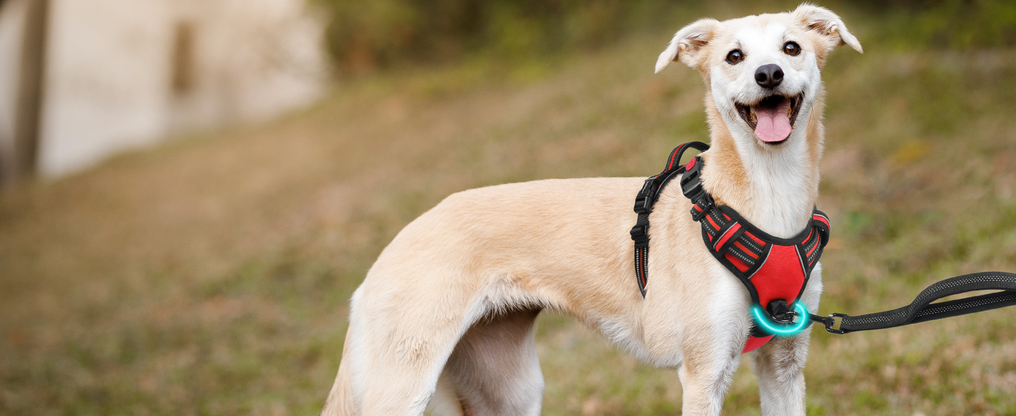 Нашийник для собак Rabbitgoo, великі породи, регульований, анти-тяга, з ручкою, м'який, світловідбиваючий, червоний, L (1 шт.)