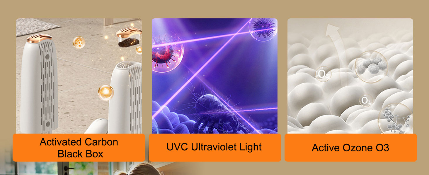 Електричний сушильник для взуття з подвійним кріпленням, для взуття, чобіт, ніг та рукавичок, з таймером, гаряче повітря, UV-світло, активоване вугілля, потрійна антибактеріальна обробка