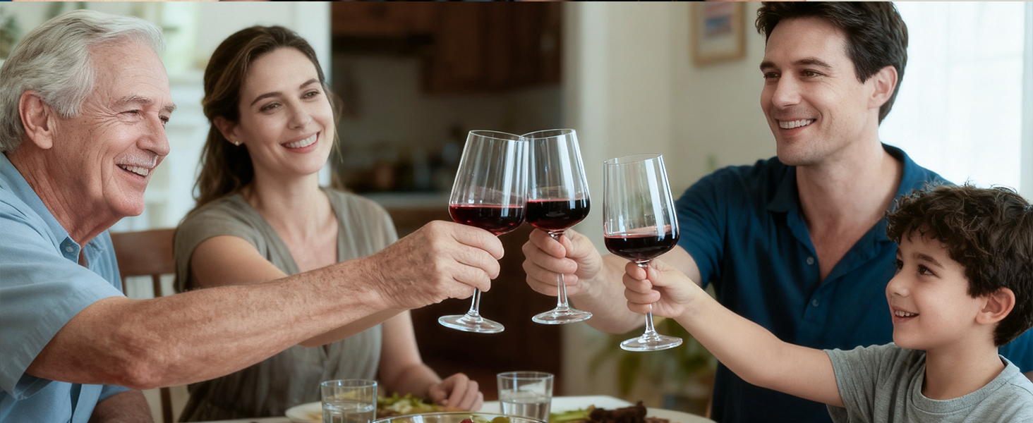 Набір келихів для вина PROST! 6 шт. 491мл з кришталевого скла без свинцю, для червоного та білого вина, 496мл