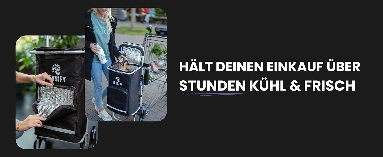 Складаний візок для покупок Hackenporsche з великим холодильним відсіком, 50 л, з колесами, водонепроникний, чорний