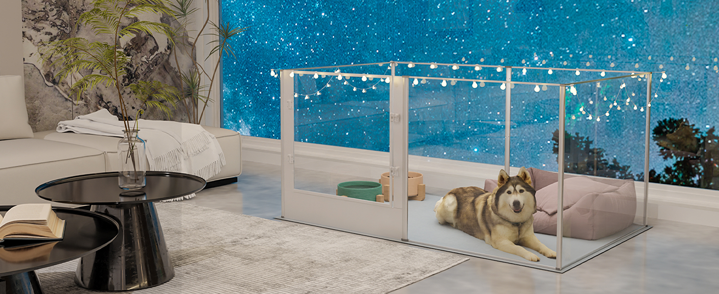 Кія для собак BingoPaw: вольєр для цуценят та собак, 8-секційний, 60 см, XXL, з дверцятами та водовідштовхувальним дном (163 x 102 x 80 см)