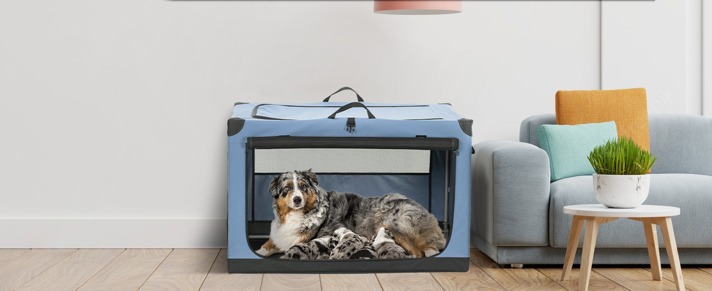 Транспортна переноска для собак та котів Petsfit, складана, для подорожей та авто, блакитна