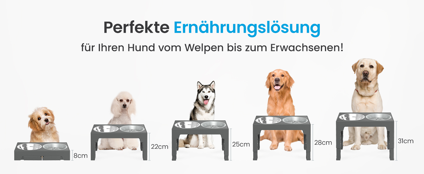 Elevated Dog Bowls Set - Stainless Steel & No-Drip Design - Adjustable Height, 2x 1.2L & 0.8L - Grey