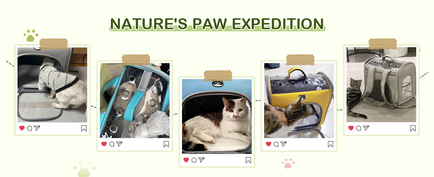 Рюкзак для котів та маленьких собак ALLSOPETS, дихаючий, з фронтальною відкривачкою та страхувальним ремінцем, для подорожей, прогулянок та хайкінгу (Квітково-рожевий)