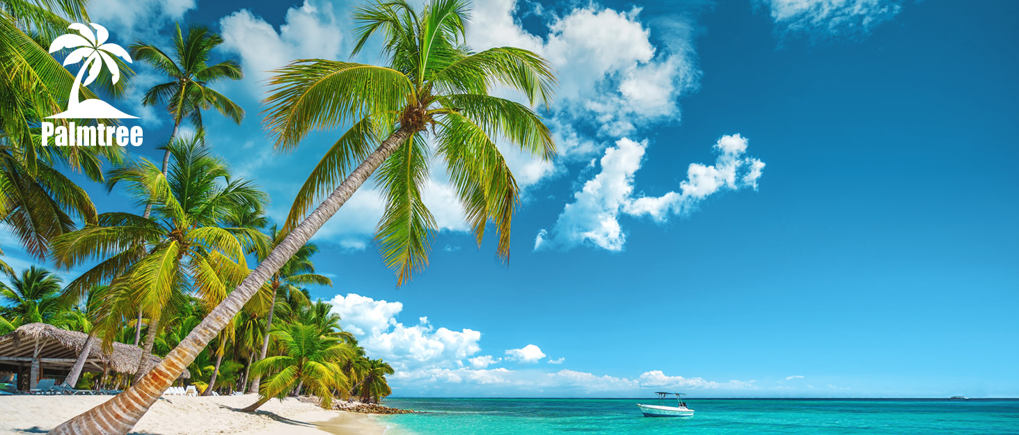Картриджі Palmtree 540XL та 541XL сумісні з принтерами Canon (чорний та кольоровий)