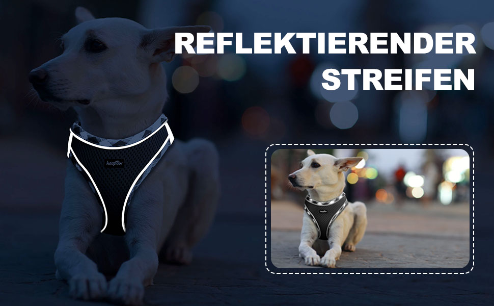 Нашийник та поводок для собак Haapaw, без натягу, регульований, світловідбиваючий, Step-in, для цуценят, з м'якою підкладкою, для собак маленьких та середніх порід, блакитний (чорний, M (обхват грудей 38.1-45.7 см, вага 4.5-6.8 кг))