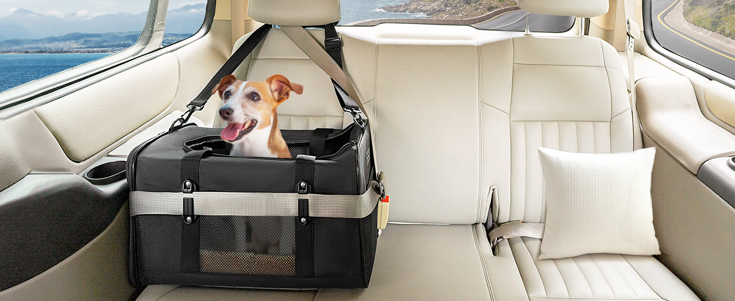 Транспортна переноска для кота та маленького собаки Petsfit, чорна, середнього розміру, з м'яким килимком та патентованими застібками