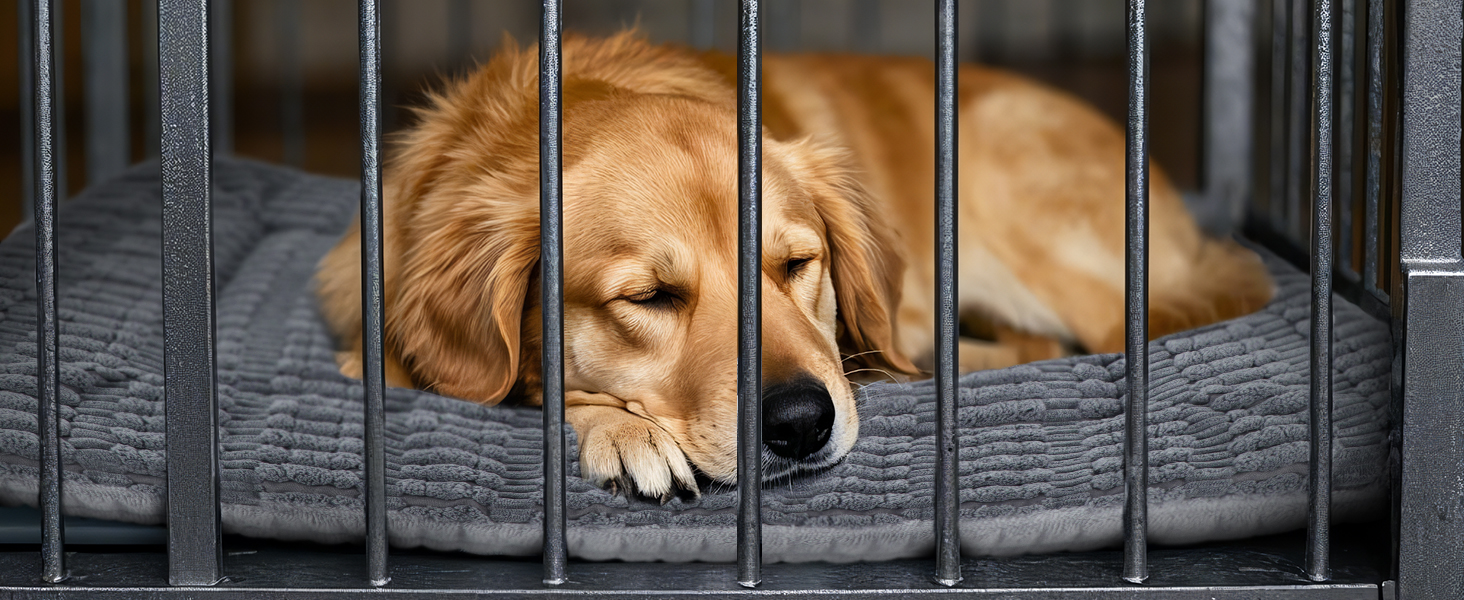 Лежанка для собак IEUUMLER, м'яка та тепла, з memory foam, 90x70 см (Сірий)