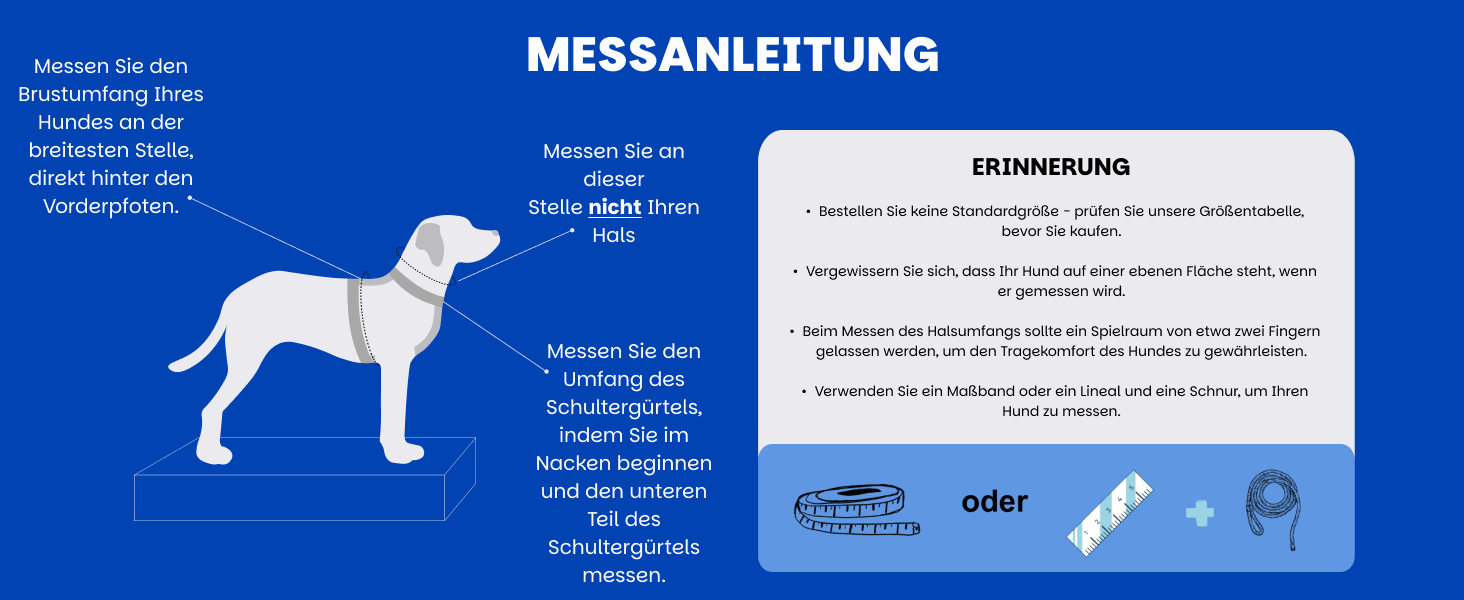 Шлейка для собак середніх порід | Не вбирає вологу | Регульована | З контролем | Легка класична шлейка для собак | Dog Harness - M (Cosmic Bloom, S - виміряйте собаку)