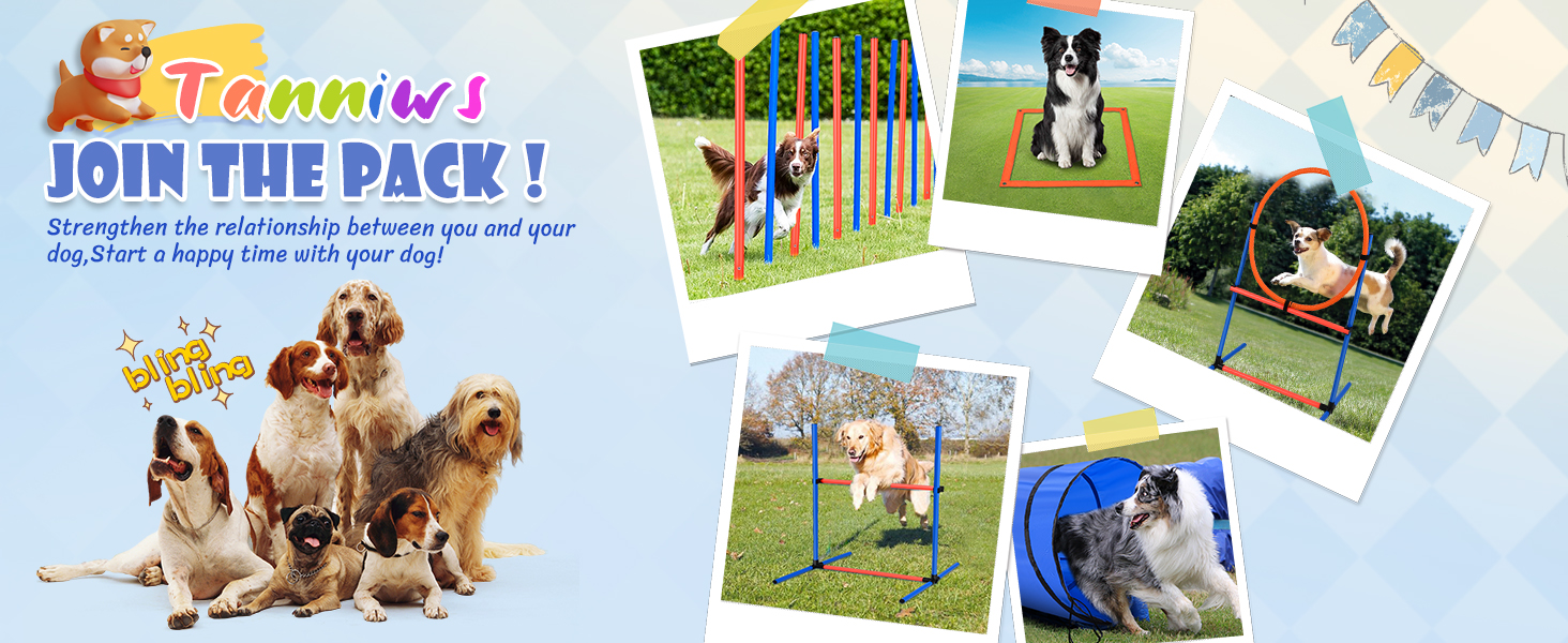 Набір для аджиліті для собак 70 елементів: 8 шлагбаумів, стрибкова петля, м'яч, ящик для перерви, сумка для ласощів, переносна сумка. Розвиває інтелект.