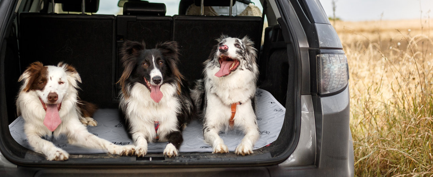 2 шт. вбиральні підкладки для цуценят, 80х92 см, водонепроникні та миючі. Килимки для навчання собак, неслизькі килимки для дивана та підлоги (2 шт.)