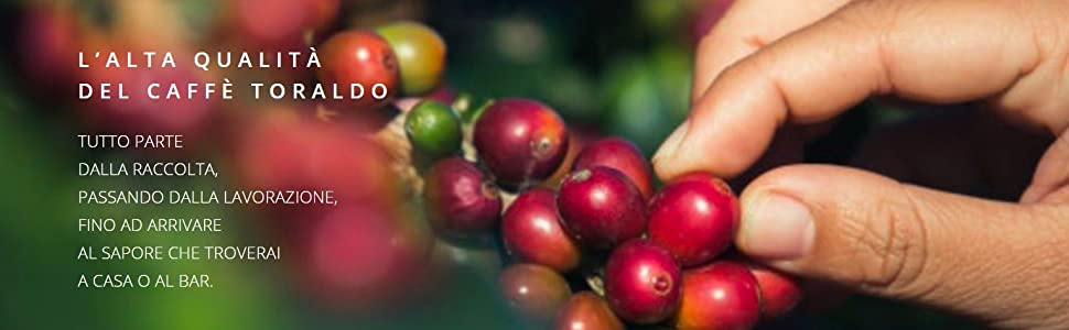 Кава в падах Caffè Toraldo Miscela Cremosa для кавомашин ESE 44, 7г, 150 шт