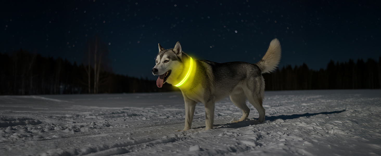 Світлодіодне нашийник для собак Jewyow 7-в-1, багатоквітний, USB-C, водонепроникний, для малих, середніх та великих собак - Синій, M