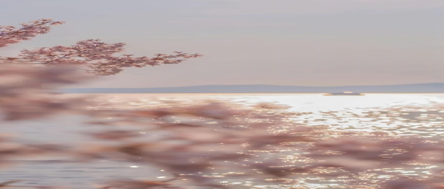 Ліхтарик для читання BIGMONAT з USB зарядкою, кліпсою, 6 LED, 3 режими світла, регульована яскравість, гнучкий на 360° фіолетовий