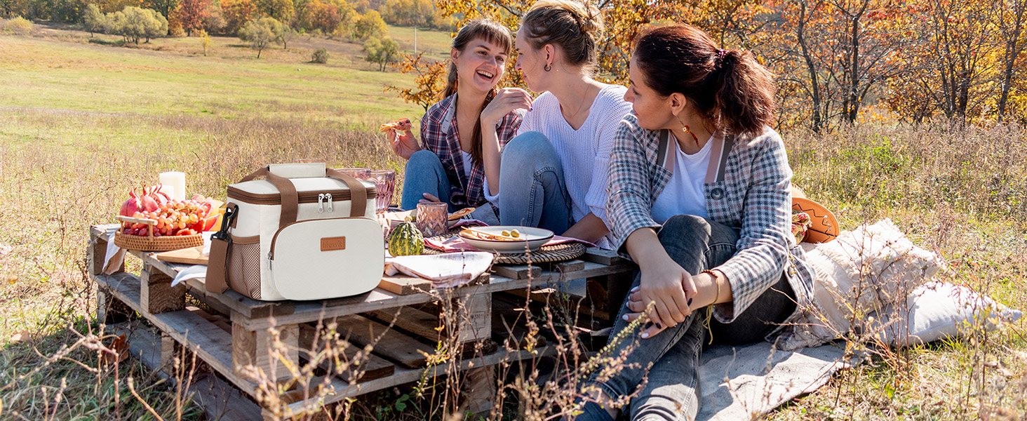 Сумка-холодильник Lifewit 9L: компактна, складна, для їжі, напоїв, пікніків