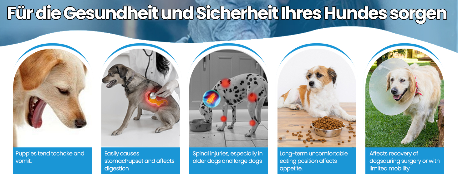 Автоматичний дозатор корму для собак 7L (2 шт.) з нержавіючою мискою, регульована висота, XXL, для великих собак та котів Maine Coon