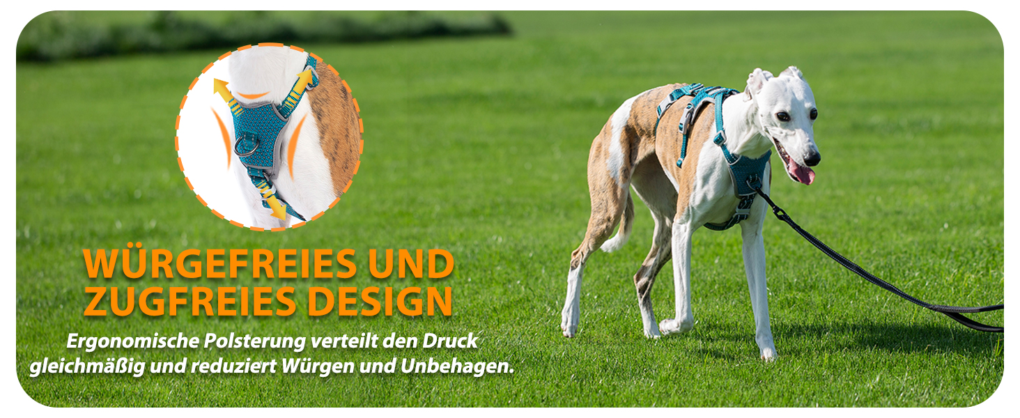 Шлейка Huntboo для собак: безпечна від виривання, антистресова, з відбиваючими елементами, регульована, легка (розмір S, блакитна)