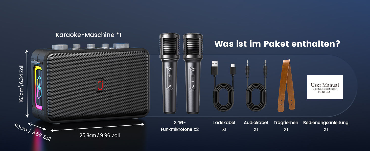 Караоке-система HWWR MS81 з 2 мікрофонами Bluetooth 5.3, підтримка USB/TF-карти/AUX, функція запису, для дому та вечірок, чорний колір