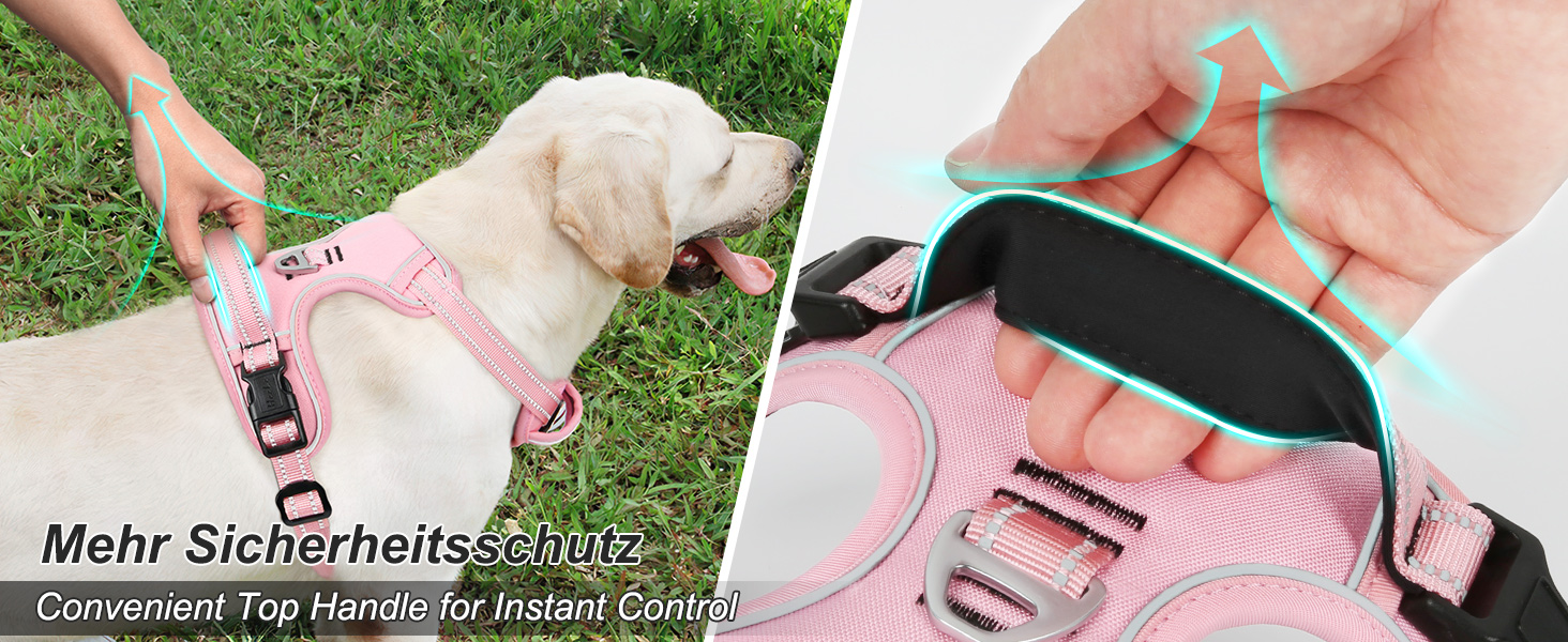 Шлейка для собак HEELE з регулюванням натягу, світловідбиваючі елементи, м'яка ручка, контроль, 2 металеві кільця, для малих, середніх та великих собак, Aree, Зелений, C-Aree Grün (XS, Uni-Pink)