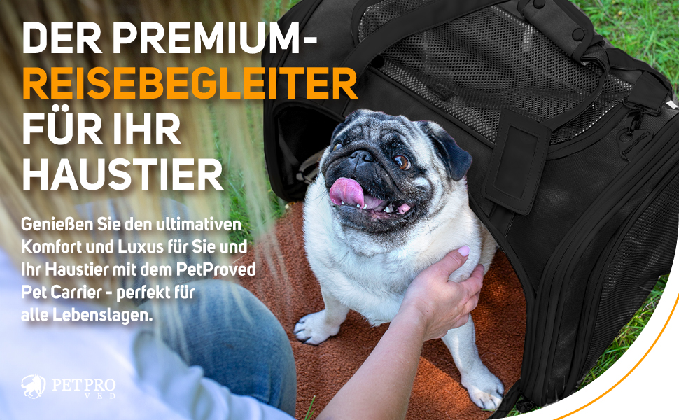 Транспортна переноска для кота/собаки: переноска для маленьких собак та котів (колір: коричневий, розмір: 51x36x33 см)