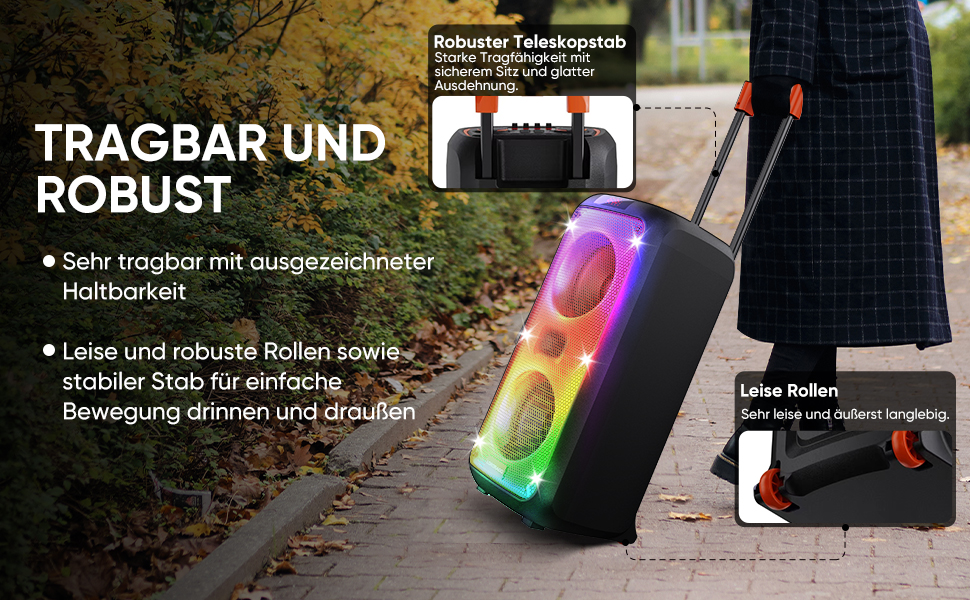 Караоке система Hukkmela з 2 мікрофонами, Bluetooth 5.3, USB, TF, Aux, LED підсвічування - чорний