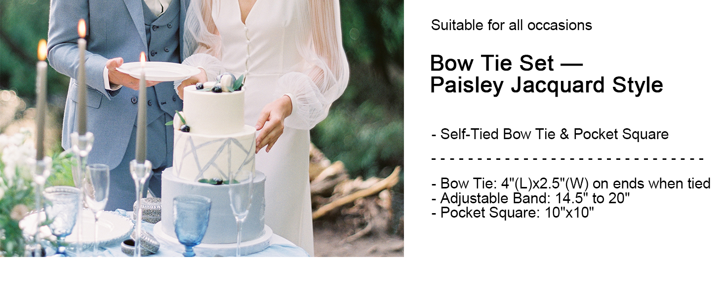 Чоловіча краватка-метелик Alizeal Retro Paisley з хустинкою, чорний+золотий, універсальний розмір