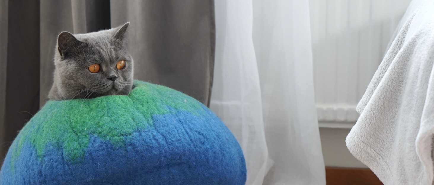 Вулик для кота Woolygon Rainbow Twist M - будиночок з мериносової вовни, ручної роботи