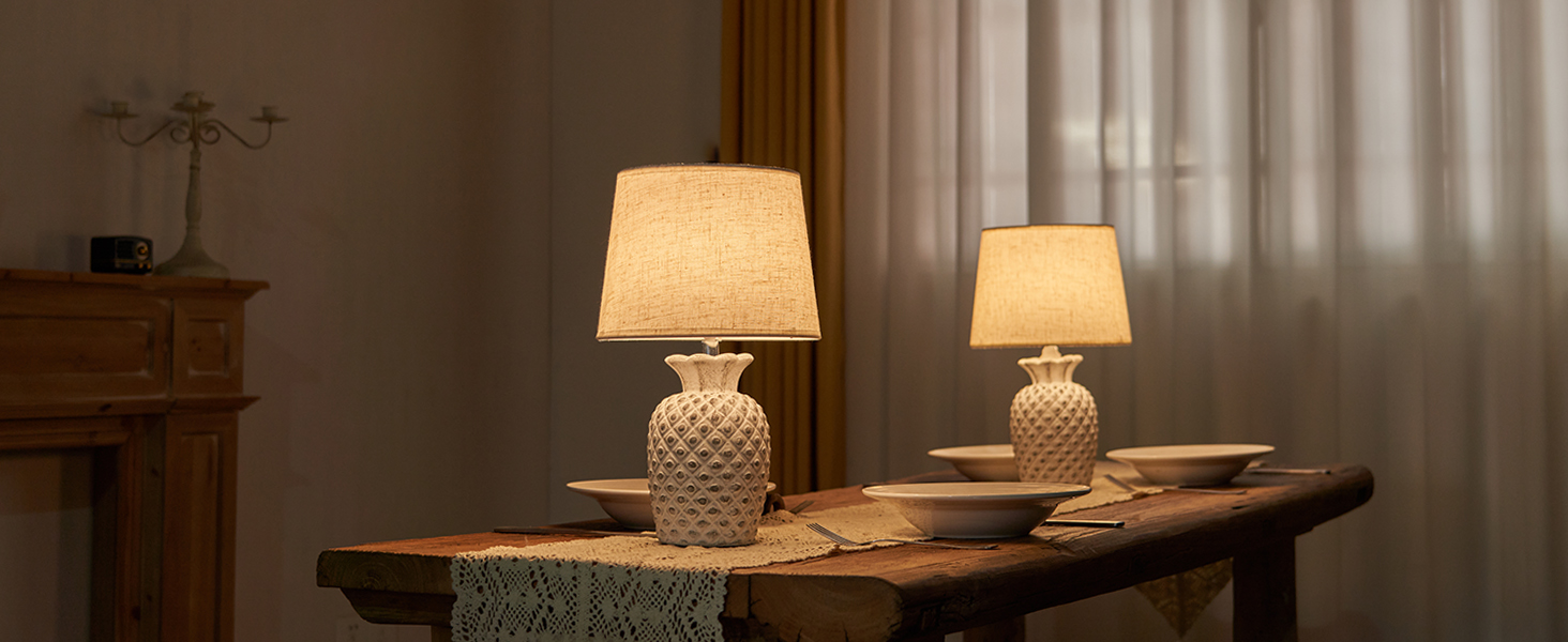 LED-лампа Egobasic на акумуляторі з пультом, таймером та регулюванням яскравості, змінне підсвічування, керамічна основа у вигляді ананаса, для спальні, кухні, вітальні