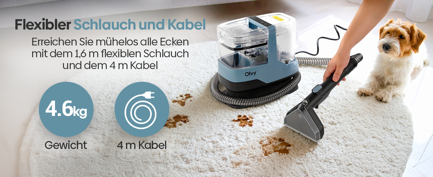 Olvy Teppichreiniger 2.0 - Потужний очищувач килимів з 17000 Па, шлангом 1.6м, кабелем 4м, функцією самоочищення та 500мл миючого засобу - для килимів, диванів, матраців та авто