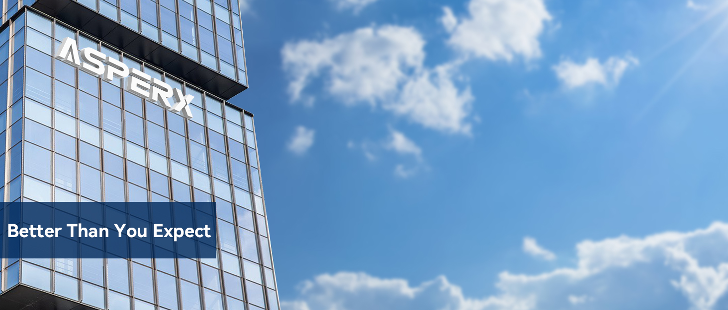 Power Bank AsperX 10000mAh (2 шт.) з USB-C, 4 порти, чорний+білий, для iPhone, iPad, Huawei, Tablet