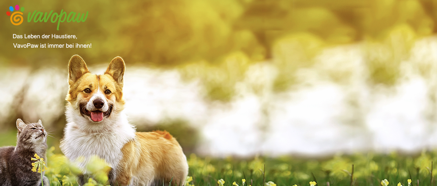 Автокрісло для собак середніх порід (до 23 кг) або 2 маленьких собак, знімний дизайн, м'яке крісло, страхувальний поводок, чорний/сірий, розмір M