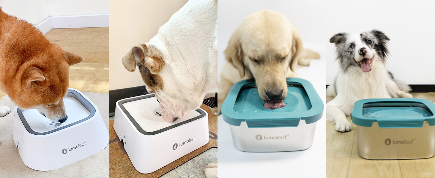 Миска для води для собак LumoLeaf, 4 літри, не протікає, з нержавіючої сталі, антиковзаюча, для подорожей, з фільтром, блакитна