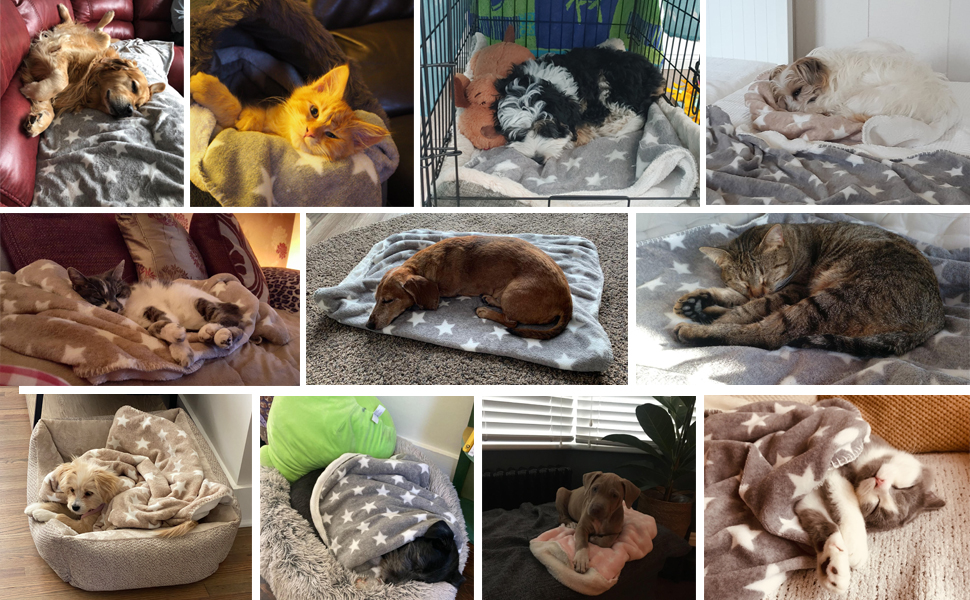 Флатуша плед для собак та котів LeerKing, 100 x 150 см, сірий. Двошаровий, м'який, для дивана, ліжка, авто. Можна прати.