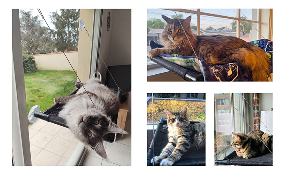 Кішка-гамак для вікна Dracarys | для великих котів до 20 кг | Посилений гамак з міцним присоском | Ліжко для засмаги кота, ліжко для домашніх тварин, підходить для вікон довжиною ≥76 см та висотою ≥64 см, розмір L-68*38*58 см