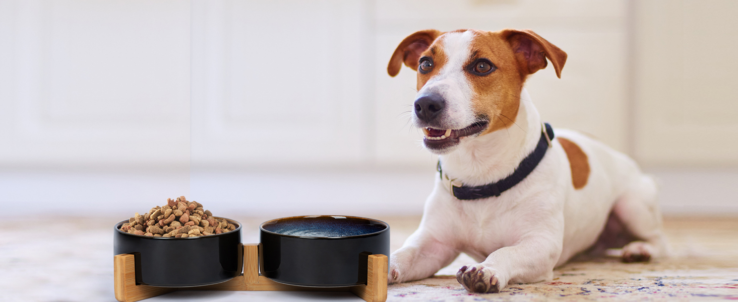 Миска для собак та котів SPUNKYJUNKY з кераміки, велика, 850 мл, піднята на бамбуковому стійці, колір «Зоряне небо»