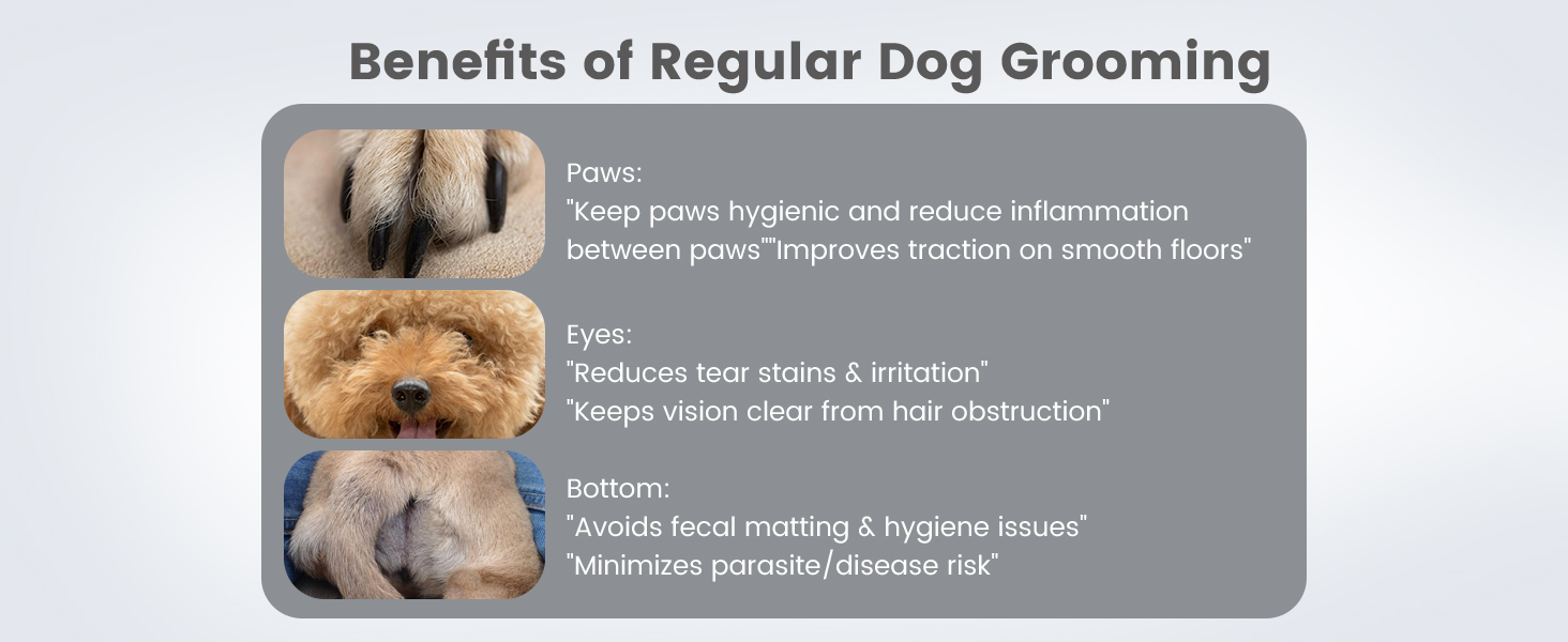 Триммер для стрижки кігтів та стрижка кігтів для собак 2 в 1, безшумний, акумуляторний, електричний, для великих, середніх та маленьких собак, білий