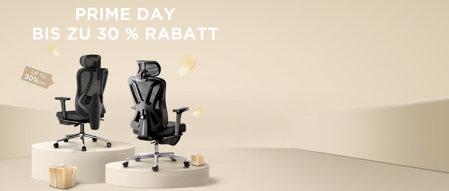 Hbada P5 Ergonomic Office Chair with Adjustable Lumbar Support, Breathable Seat Cushion, Footrest, Black Computer Desk Chair