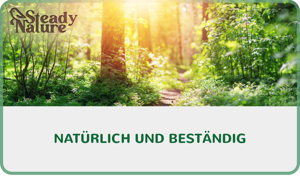 Підвісна годівниця для птахів Steady Nature з дерева, стійка до погодних умов, для саду, пташиний будиночок