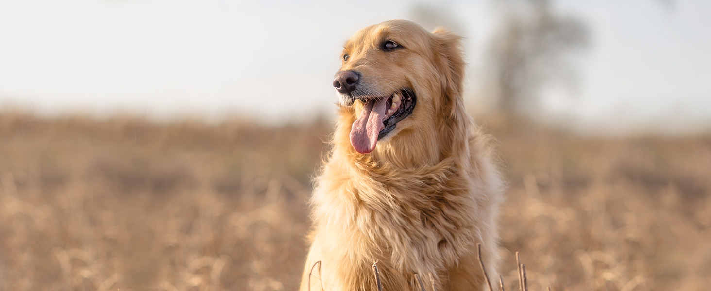 Фільтр K&F Concept 77mm Black Promist 1/8 з оптичного скла з Multi-Nano покриттям для відеозйомки/портретної фотографії (Nano-Klear)